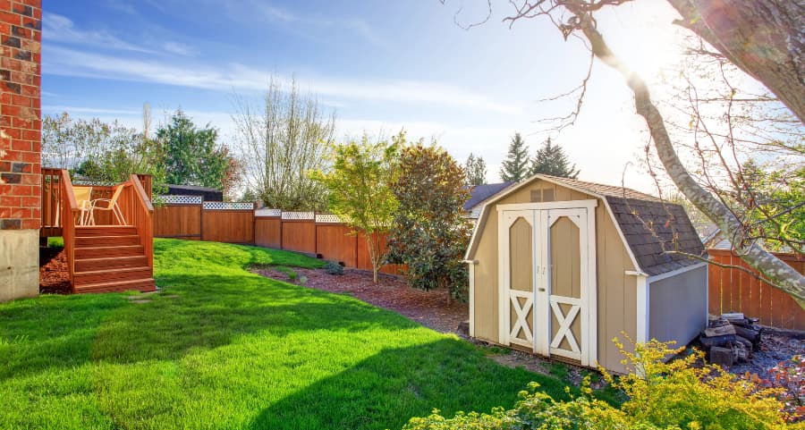 Fenced backyard with storage shed in Lake Havasu